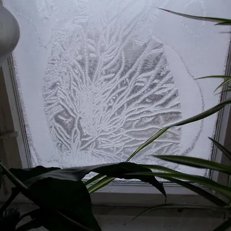 Trais Fluors Bed & Breakfast 3*