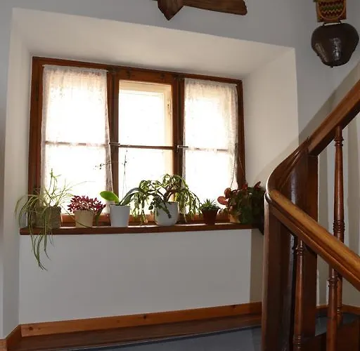 Oda ve Kahvaltı Trais Fluors