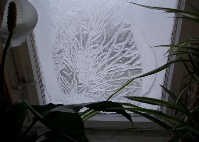 Trais Fluors Oda ve Kahvaltı 3*